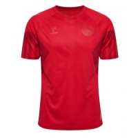 Camiseta Dinamarca Primera Equipación Replica Mundial 2022 mangas cortas